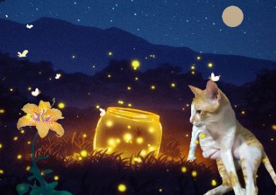 BTVN (B1) - Quất không béo ngồi nhìn đom đóm