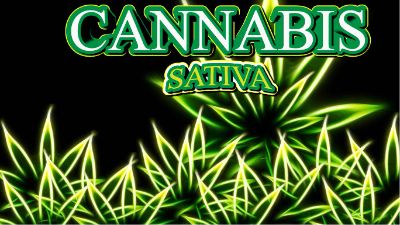 Save Trees