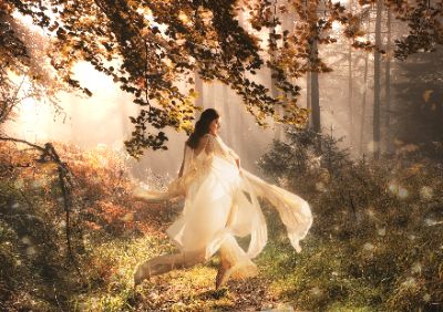 Beauty in the Forest
