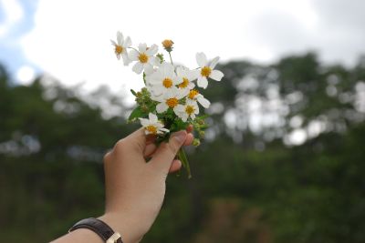 Bài tập giữa kỳ