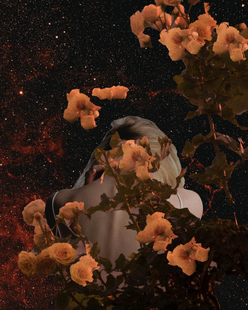 BTB1