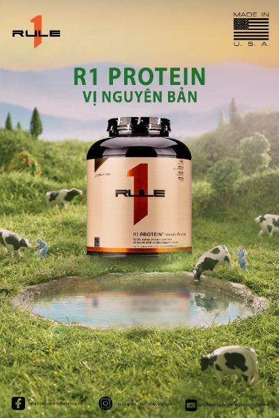 Bài tập cuối kỳ
