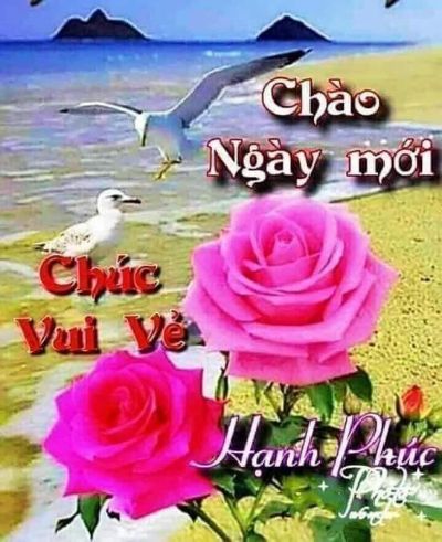 Bài tập cuối kỳ