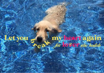 Let you break my heart again