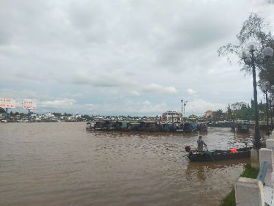 Hoàng Tùng