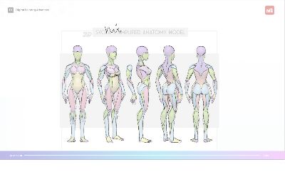 anatomy