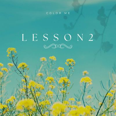 Lesson 2