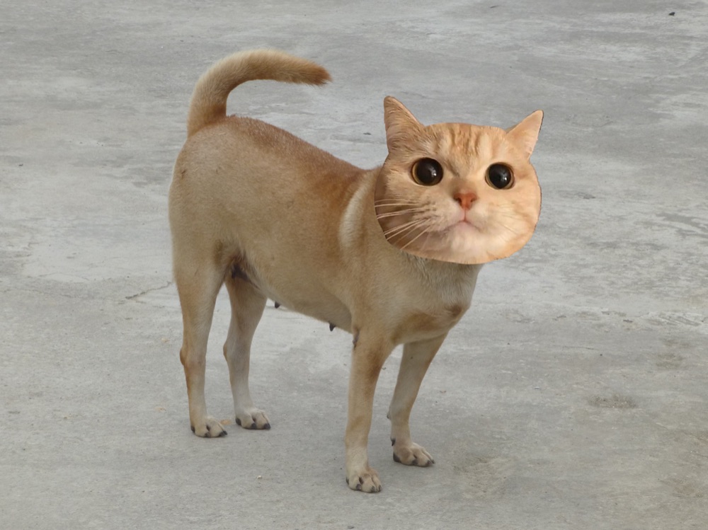 .