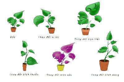 BTVN buổi 5
