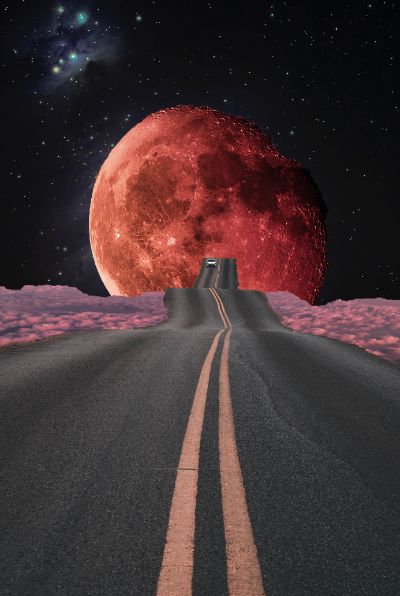 BÀI TẬP VỀ NHÀ BUỔI 1 PTS - COLLAGE ART