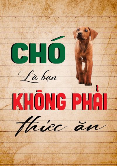 BTVN BUỔI 3 - TYPOGRAPHY