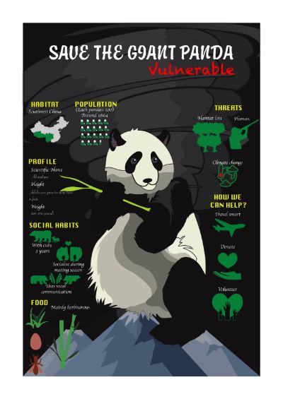 Save the giant panda