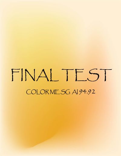 Final Test