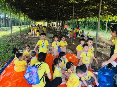Đi dã ngoại