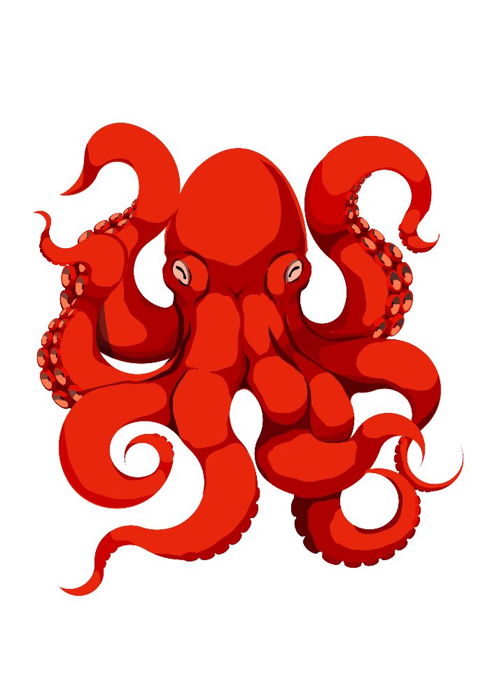 Octopus Illustration
