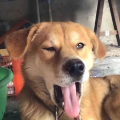 BTVN BCK - Hữu Huy - Pr 95.141