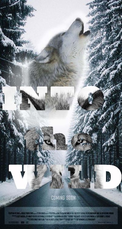 Poster Film - INTO the WILD