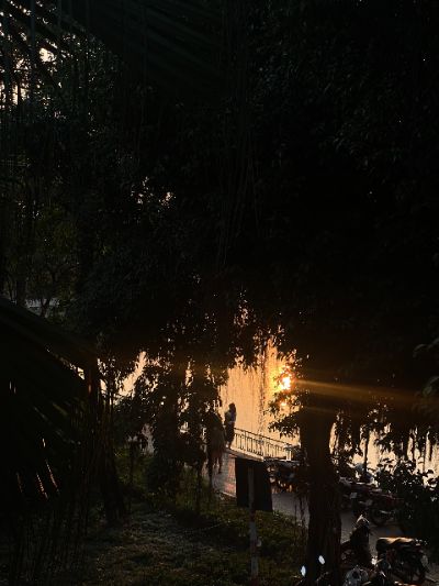 BTVN 1 GOLDEN HOUR