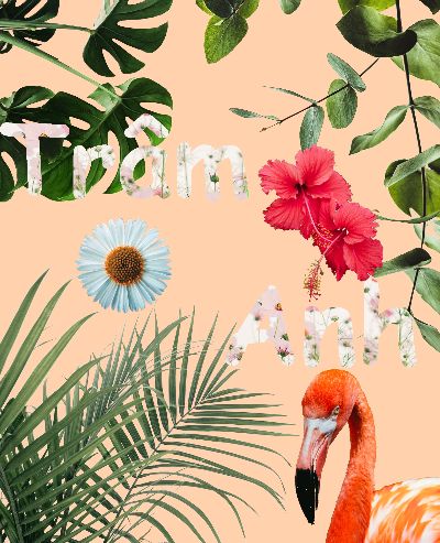 Tropical Vibe