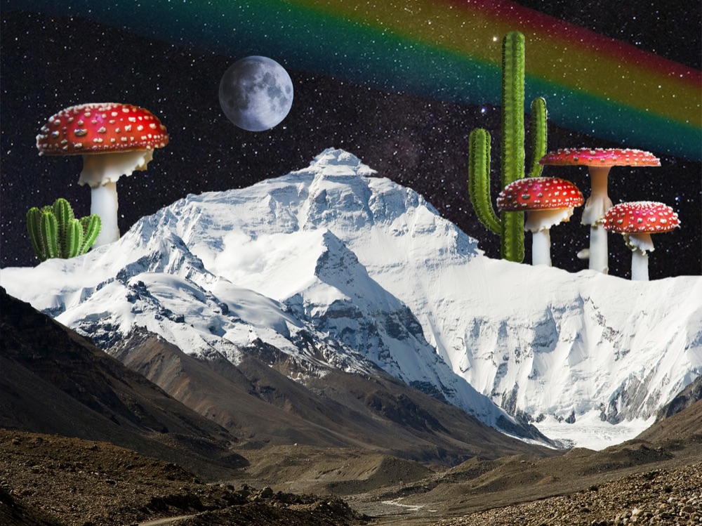 Universe