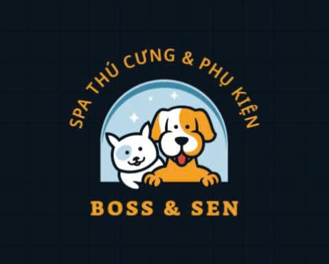 Bài thi giữa kỳ