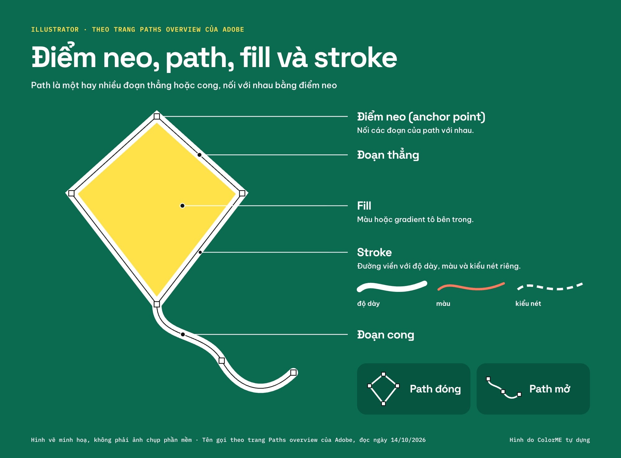Sơ đồ một path trong Illustrator vẽ trên hình cánh diều: điểm neo (anchor point), đoạn thẳng, đoạn cong, fill, stroke, kèm ví dụ path đóng và path mở