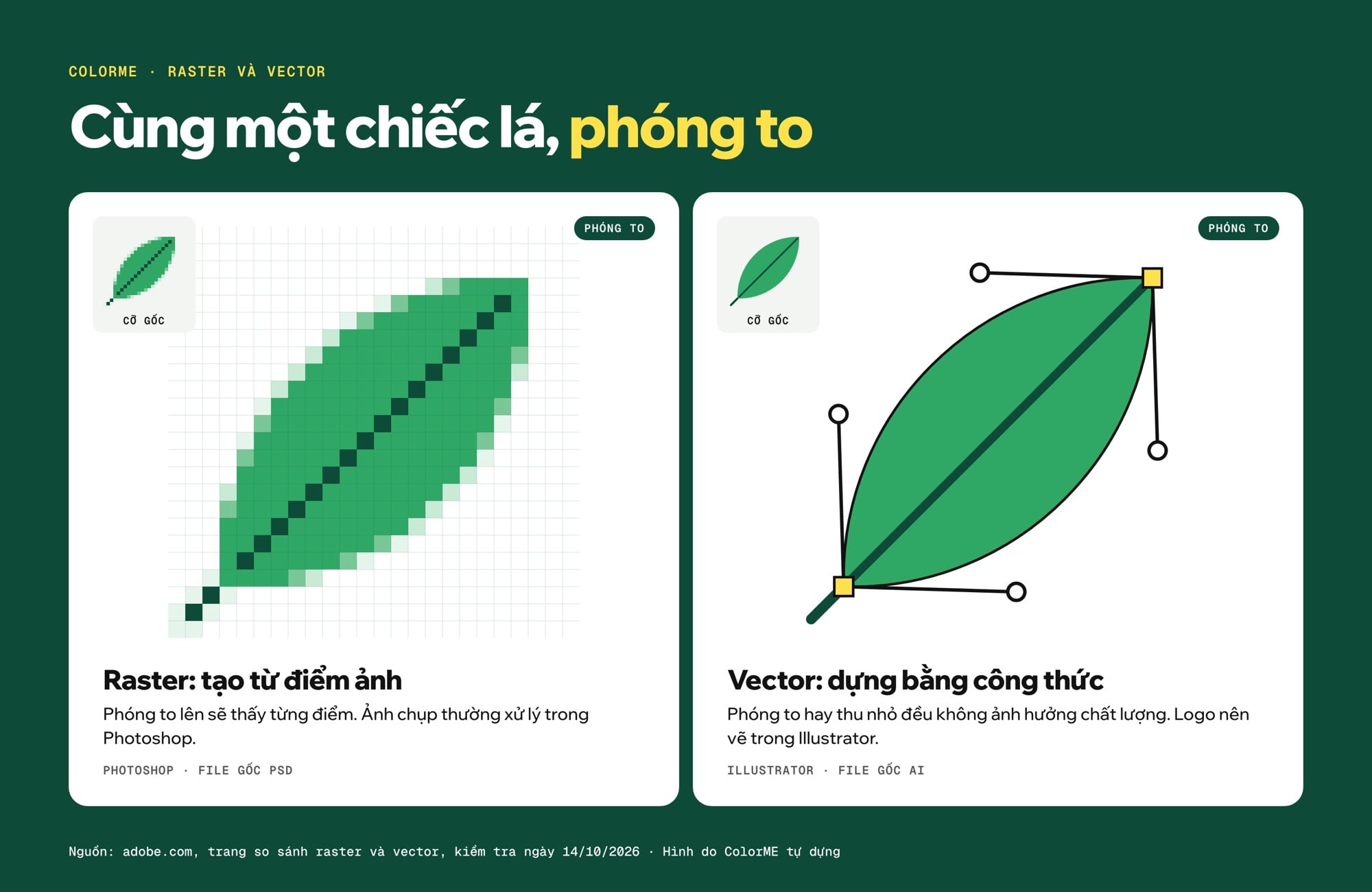 Cùng một chiếc lá phóng to hai cách: bản raster lộ rõ từng điểm ảnh, bản vector giữ viền sắc với các điểm neo và tay nắm