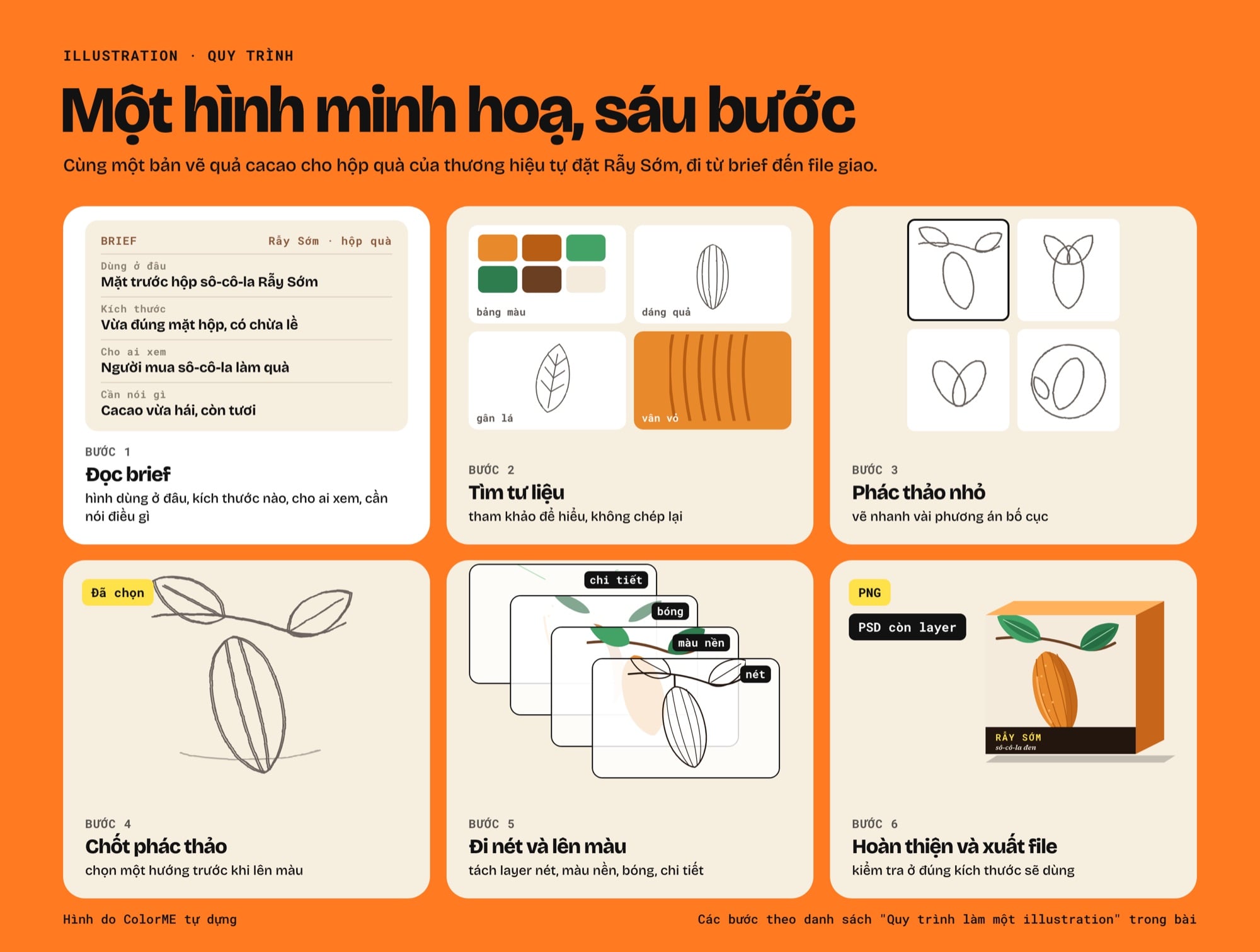 Sáu bước làm một hình minh hoạ quả cacao cho hộp quà của thương hiệu tự đặt Rẫy Sớm: đọc brief, tìm tư liệu, phác thảo nhỏ, chốt phác thảo, đi nét và lên màu theo layer, hoàn thiện và xuất file