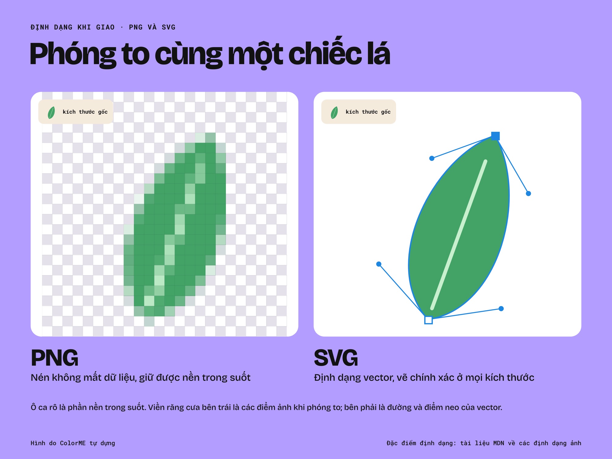 Cùng một chiếc lá phóng to: bản PNG lộ các điểm ảnh trên nền ca rô trong suốt, bản SVG giữ viền mịn với các điểm neo