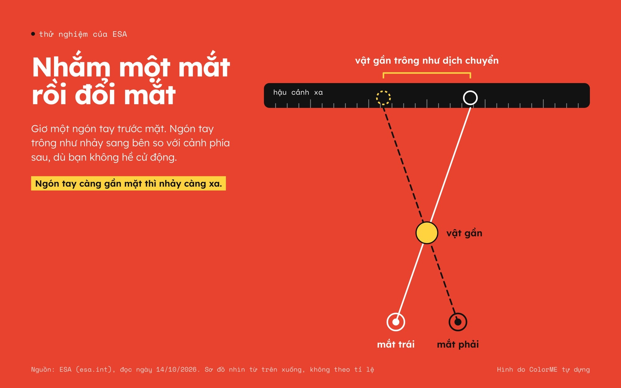 Sơ đồ nhìn từ trên xuống thử nghiệm ngón tay của ESA: từ mắt trái và mắt phải, hai đường nhìn đi qua cùng một vật gần và chạm hậu cảnh xa ở hai vị trí khác nhau, nên vật gần trông như dịch chuyển