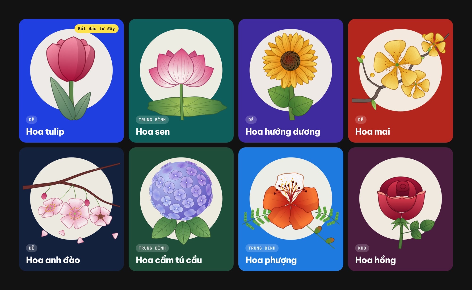 8 loài hoa vẽ theo hướng dẫn của ColorME: tulip, sen, hướng dương, mai, anh đào, cẩm tú cầu, phượng và hồng