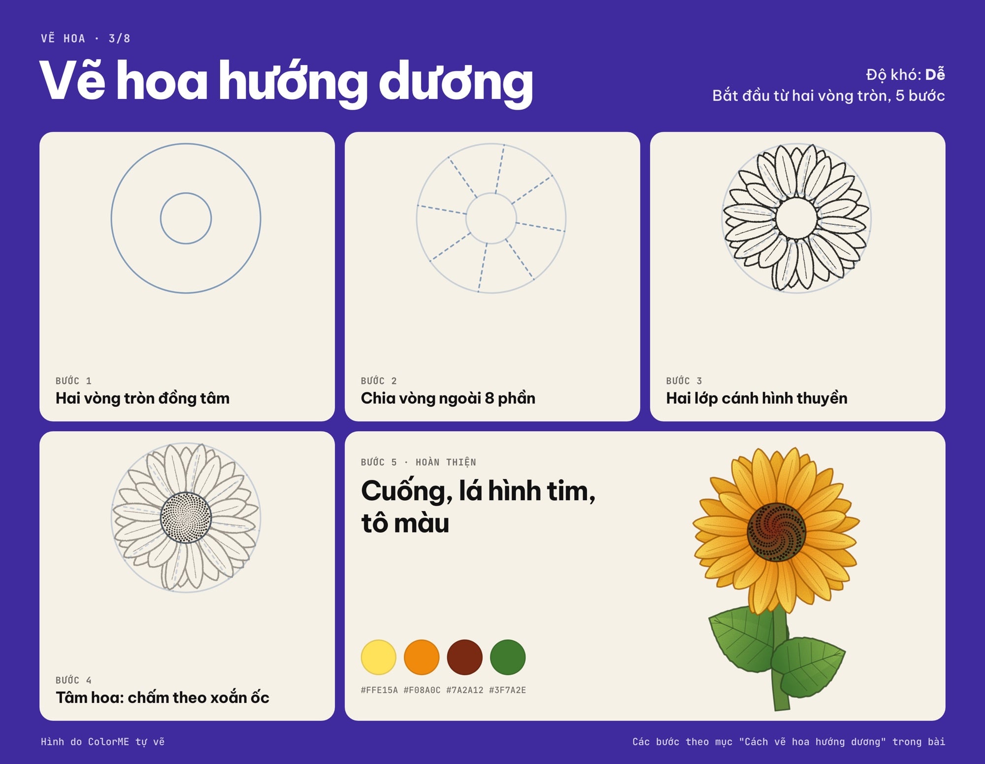 Các bước vẽ hoa hướng dương từ hai vòng tròn đồng tâm đến bản tô màu