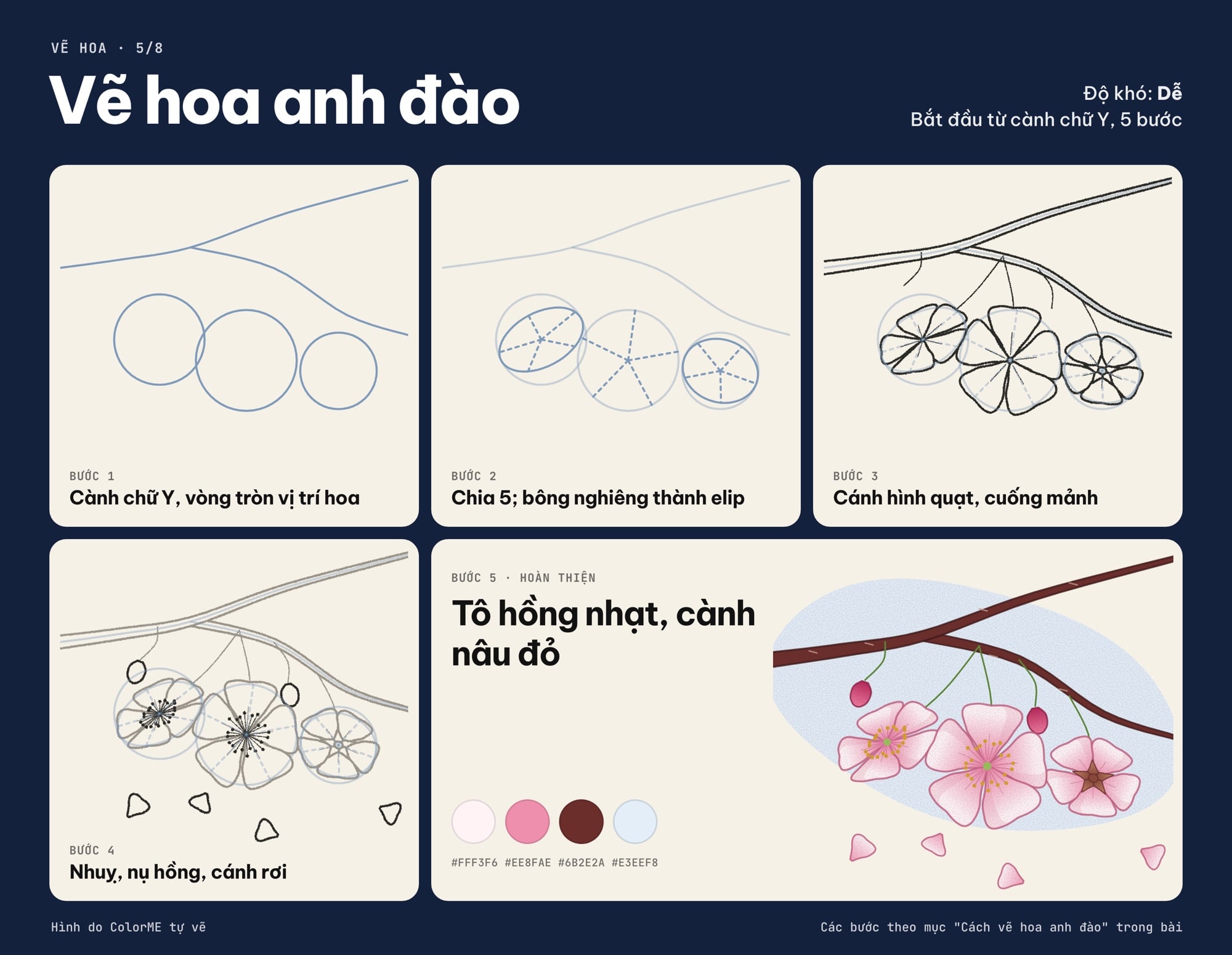 Các bước vẽ cành hoa anh đào từ cành chữ Y đến bản tô màu