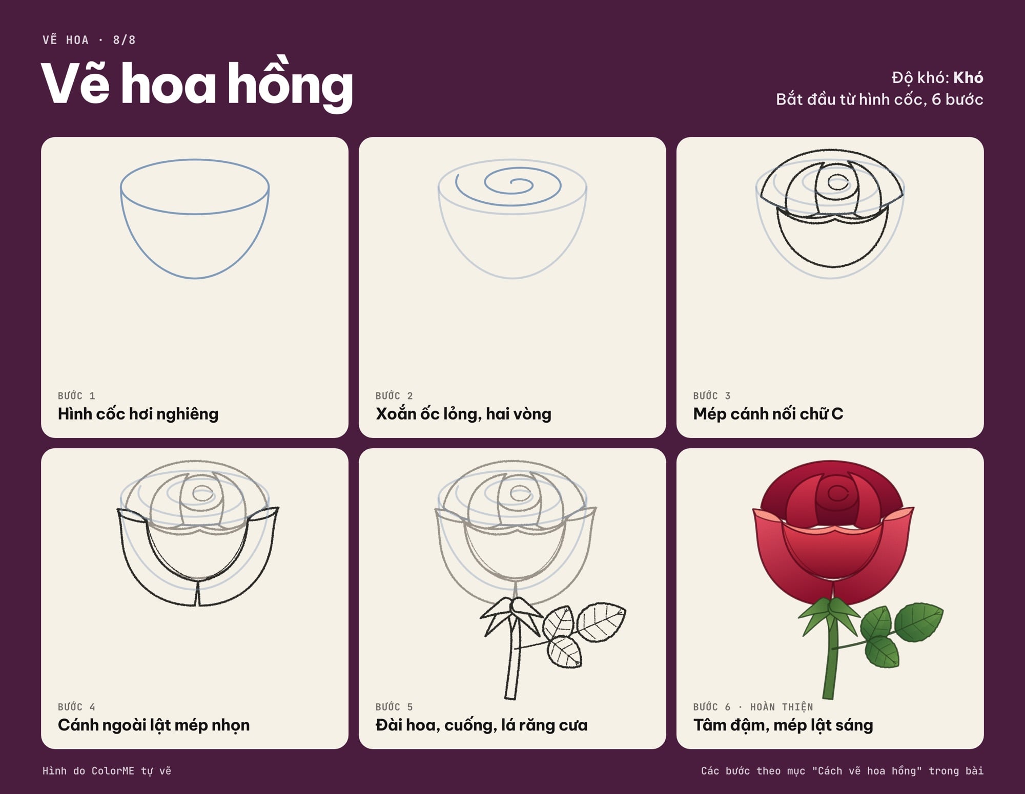 Các bước vẽ hoa hồng từ hình cốc và xoắn ốc đến bản tô màu