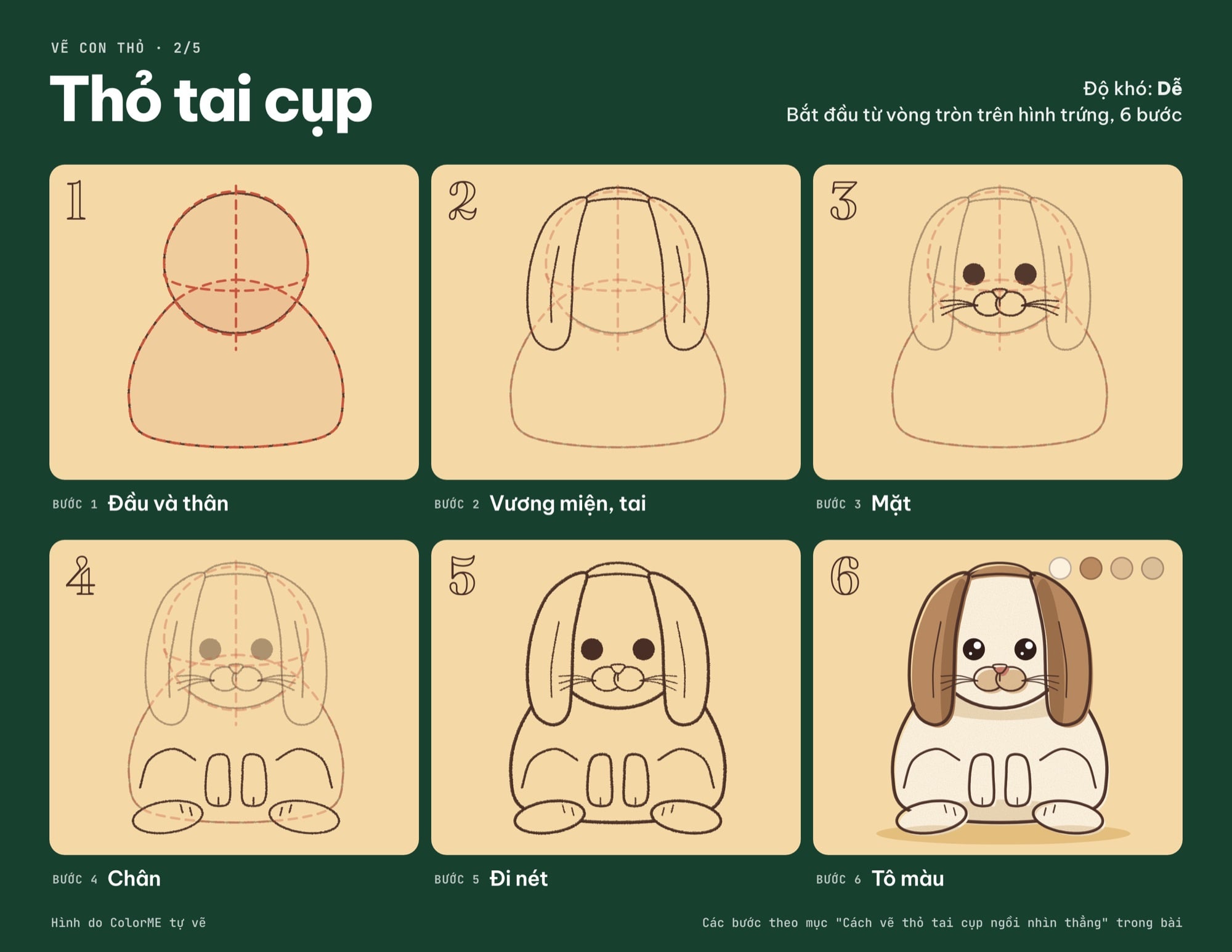 Các bước vẽ thỏ tai cụp từ vòng tròn và hình trứng đến bản tô màu