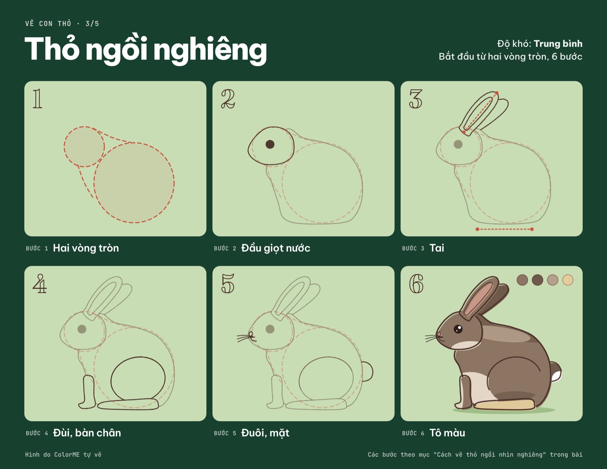 Các bước vẽ thỏ ngồi nghiêng từ hai vòng tròn đến bản tô màu