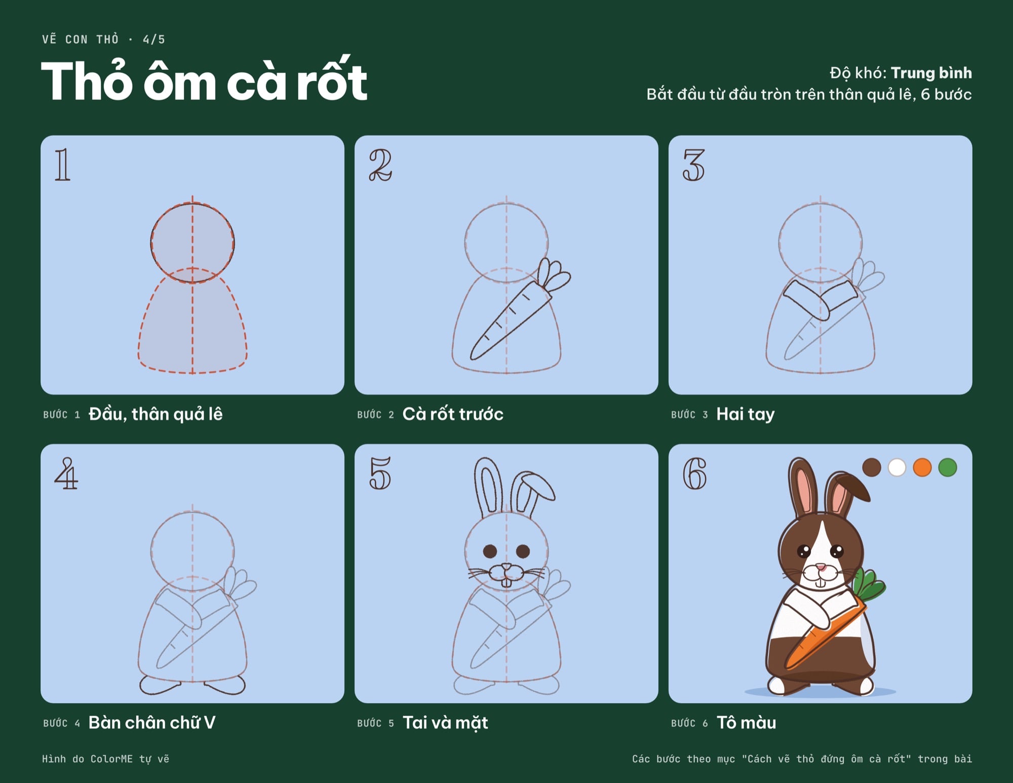 Các bước vẽ thỏ ôm cà rốt từ đầu tròn và thân quả lê đến bản tô màu