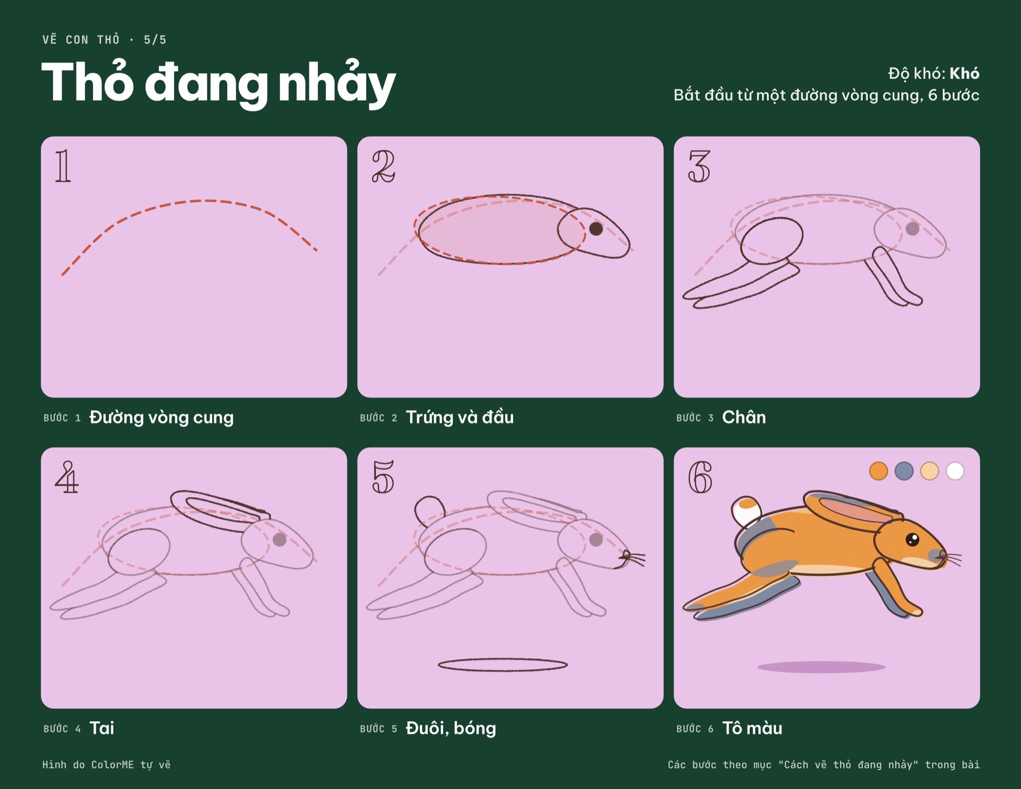 Các bước vẽ thỏ đang nhảy từ đường vòng cung đến bản tô màu