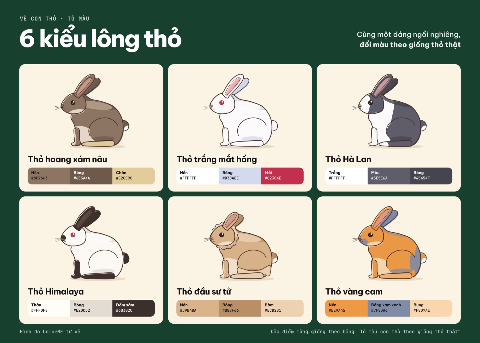 6 kiểu lông thỏ và bảng màu tô