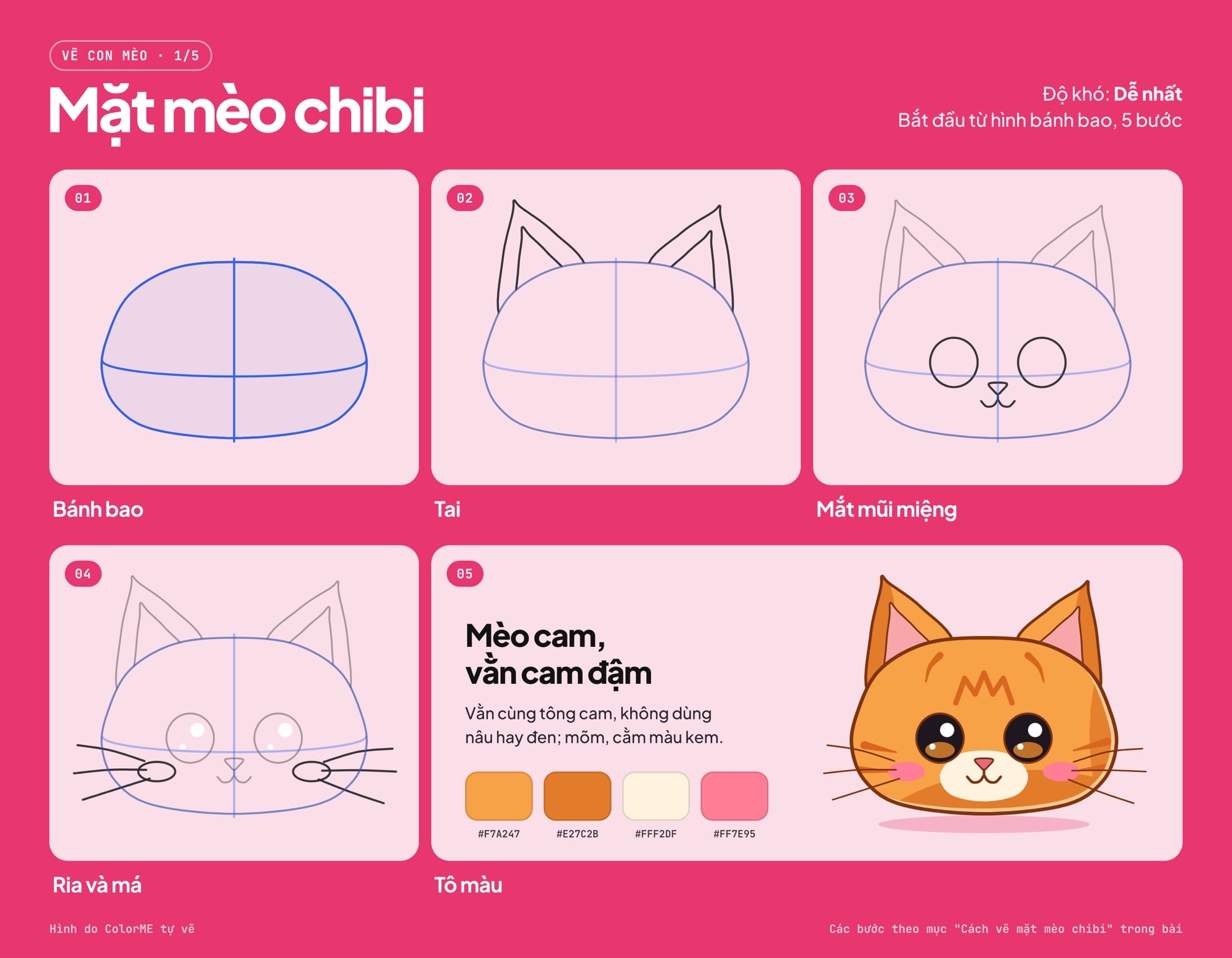 Các bước vẽ mặt mèo chibi từ hình bánh bao đến bản tô màu