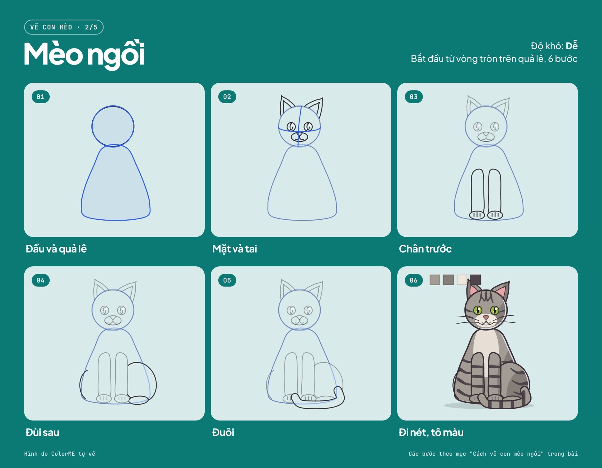 Các bước vẽ mèo ngồi từ vòng tròn và quả lê đến bản tô màu