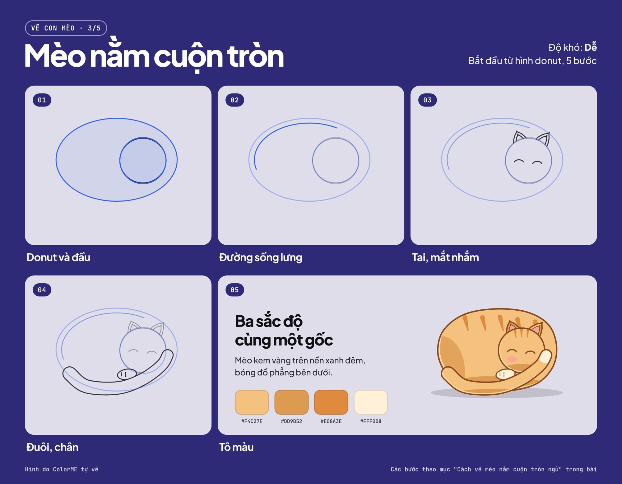 Các bước vẽ mèo nằm cuộn tròn từ hình donut đến bản tô màu