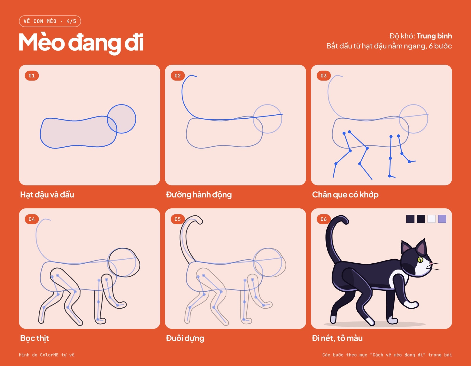 Các bước vẽ mèo đang đi từ hạt đậu nằm ngang đến bản tô màu
