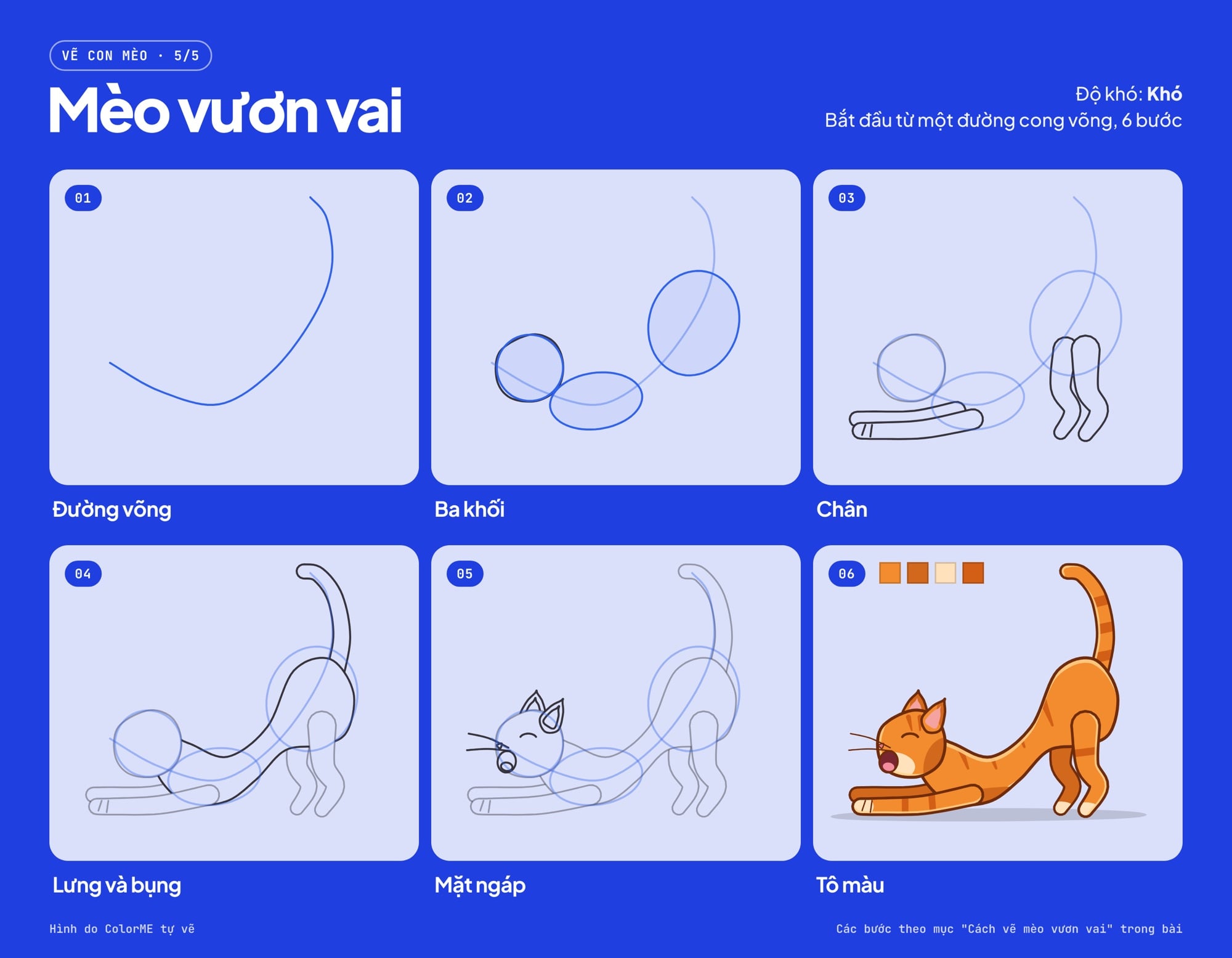 Các bước vẽ mèo vươn vai từ đường cong võng đến bản tô màu