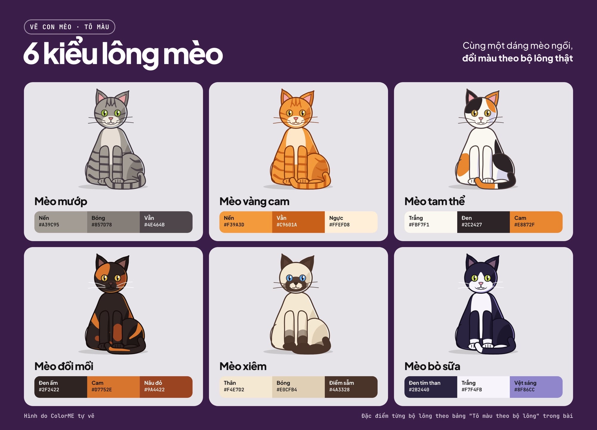 6 kiểu lông mèo và bảng màu tô