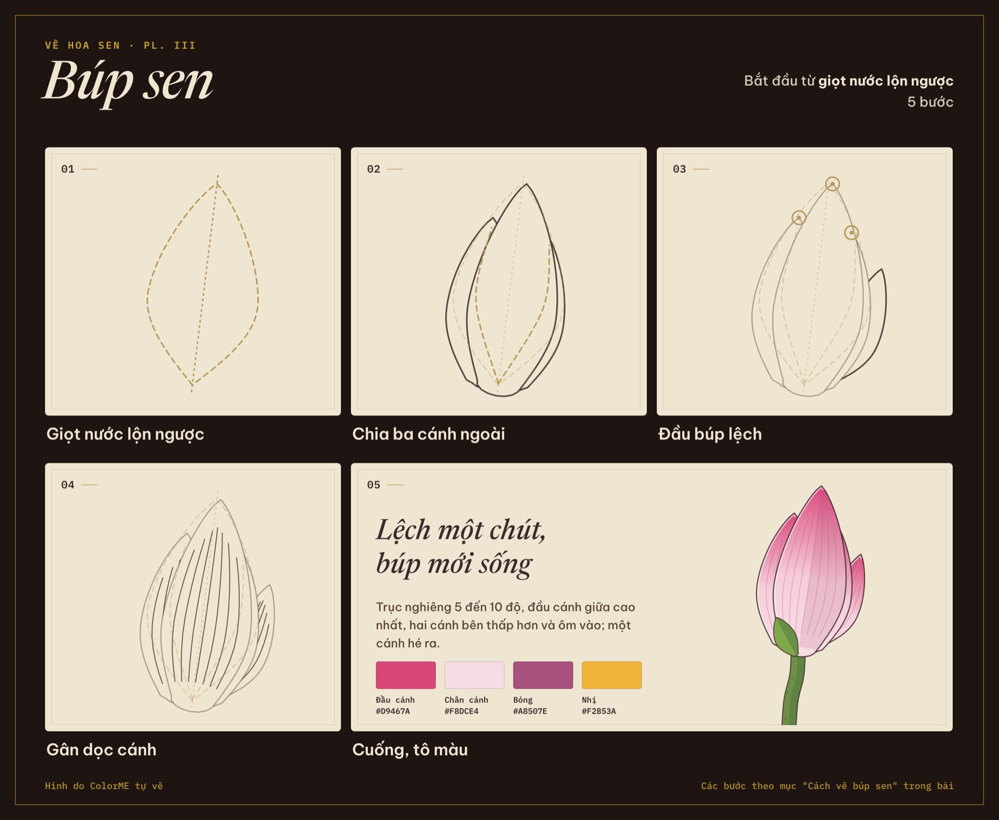 Các bước vẽ búp sen