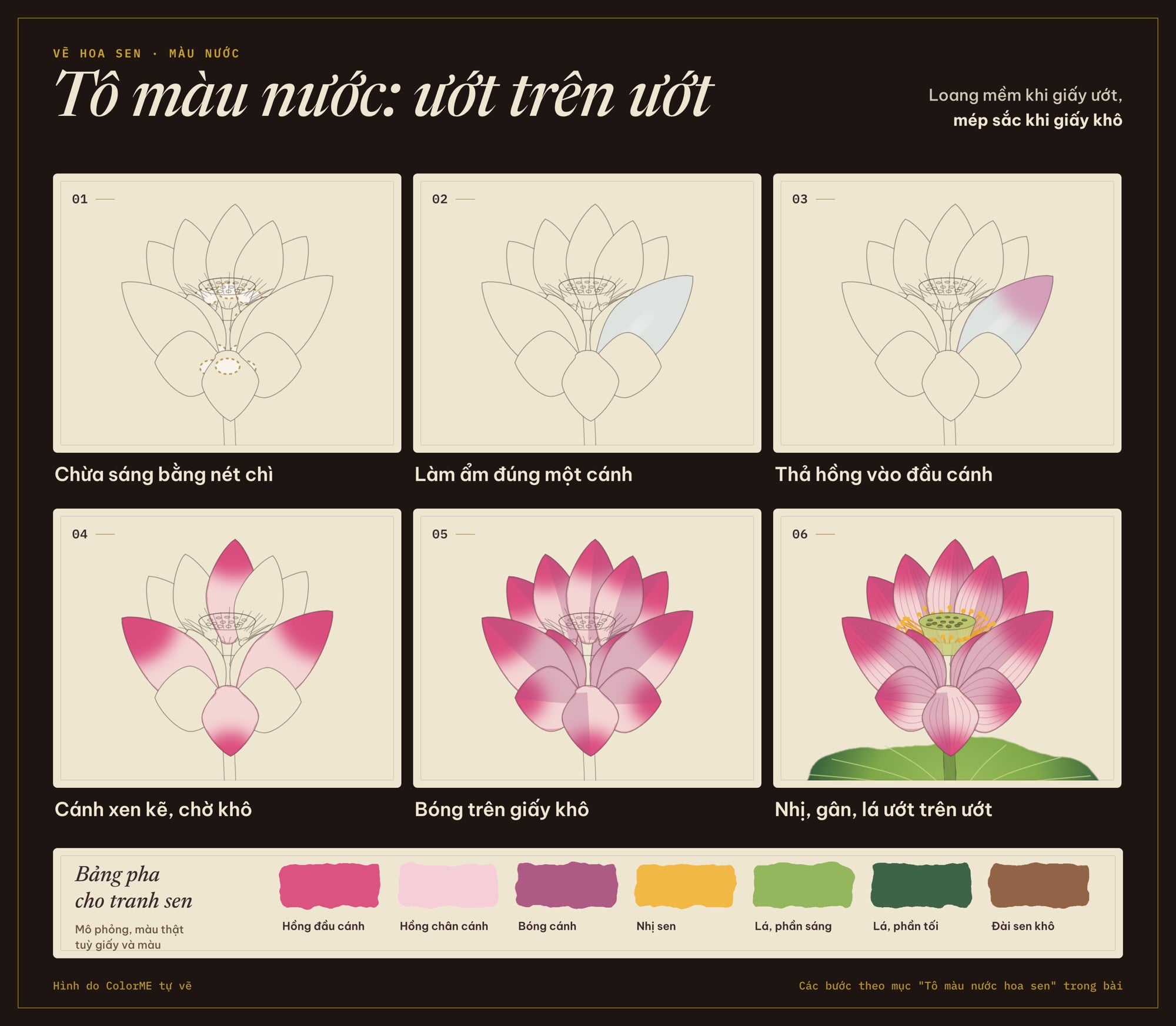 Tô màu nước hoa sen ướt trên ướt