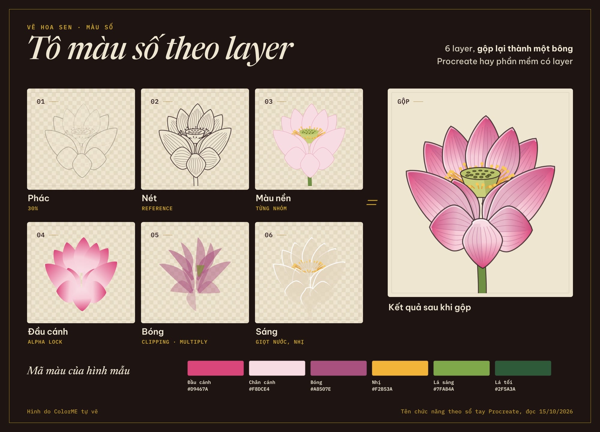 Các layer tô màu số hoa sen