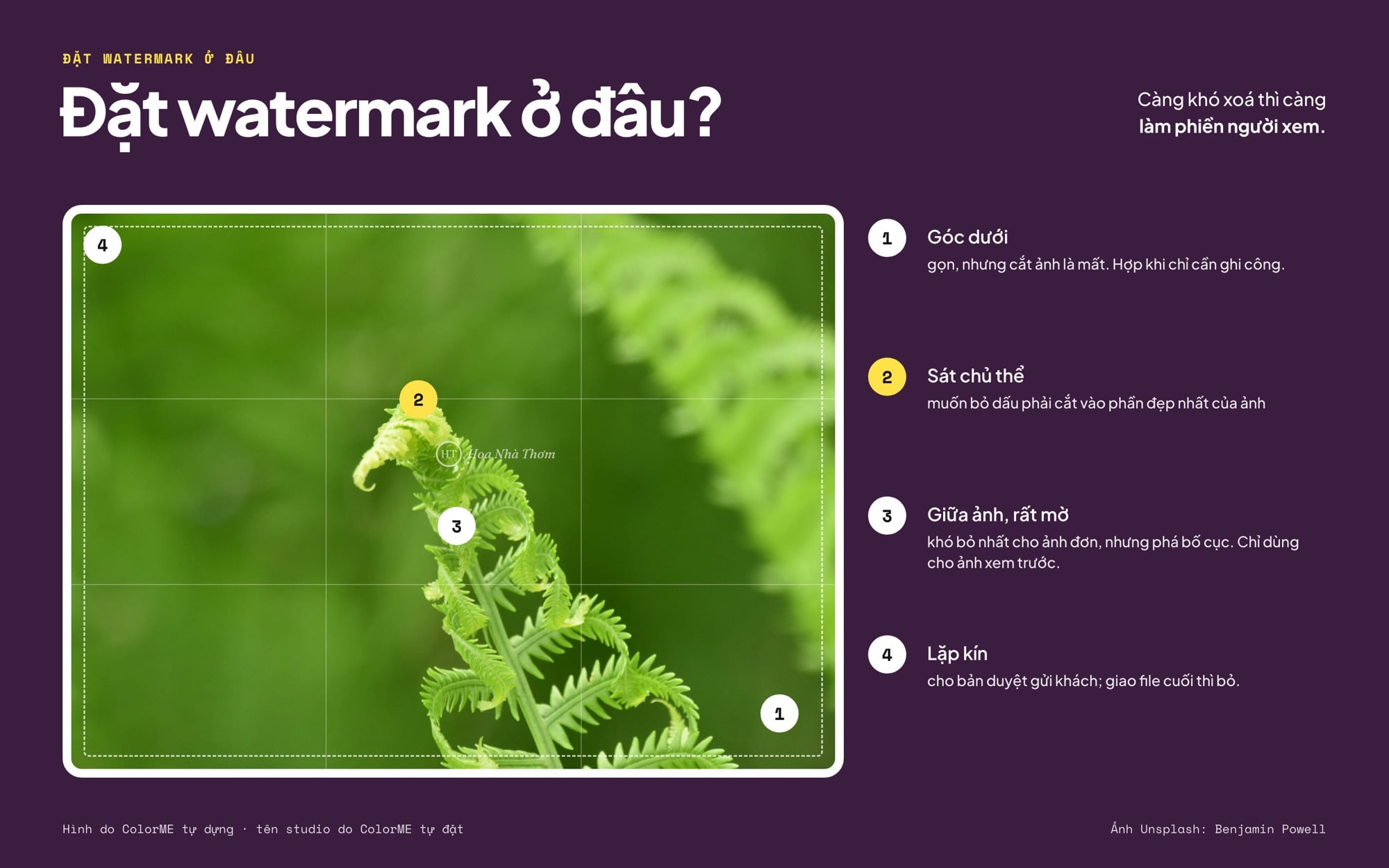Bản đồ vị trí đặt watermark trên ảnh cây dương xỉ