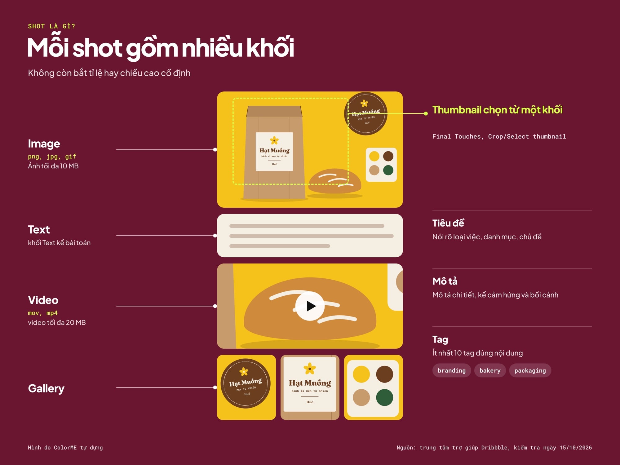 Cấu trúc một shot Dribbble gồm các khối Image, Text, Video, Gallery